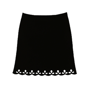 Openwork Embroidery Knit Skirt