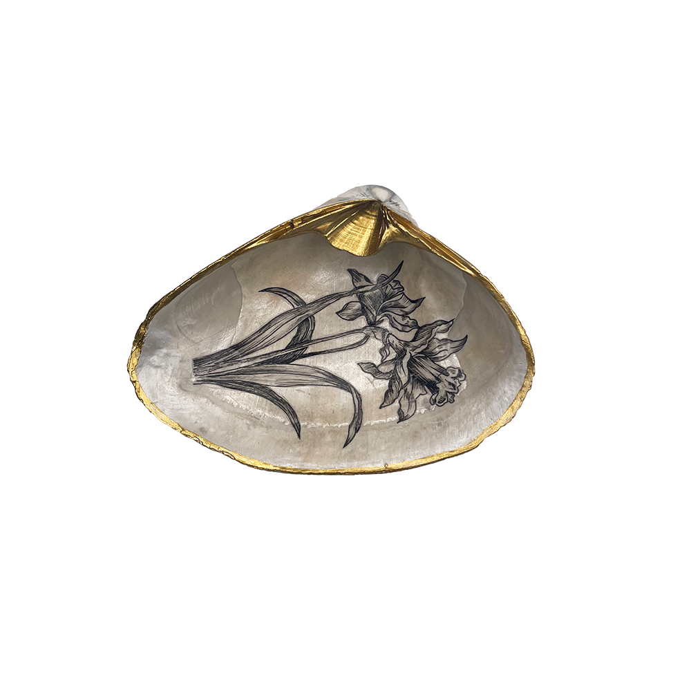 Shell Jewelry Dish