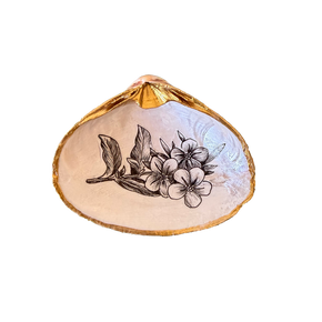 Shell Jewelry Dish