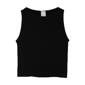 Ribbed High Neck Crop Top