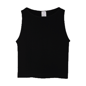 Ribbed High Neck Crop Top