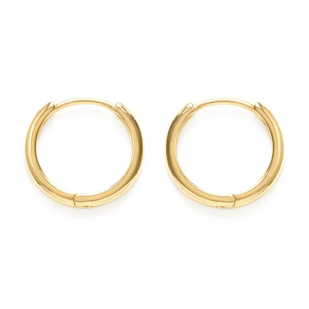 Small Gold Hoops