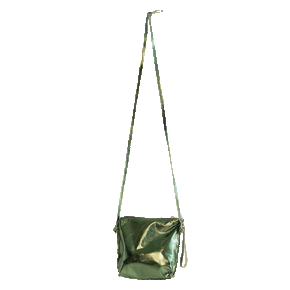 Diana Crossbody Bag in Metallic Olive