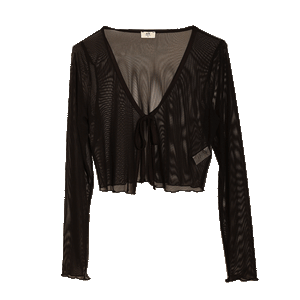 Gil Mesh Top