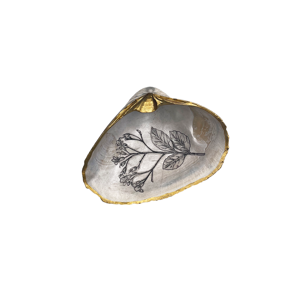 Shell Jewelry Dish