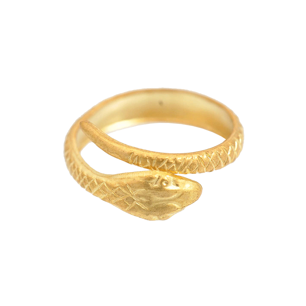 Adjustable witchy double headed snake ring – Serpentinepdx
