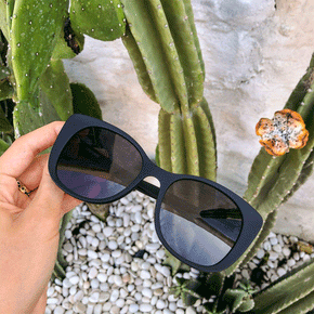 Honey Sunglasses
