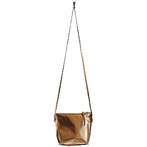 Diana Crossbody Bag in Metallic Bronze