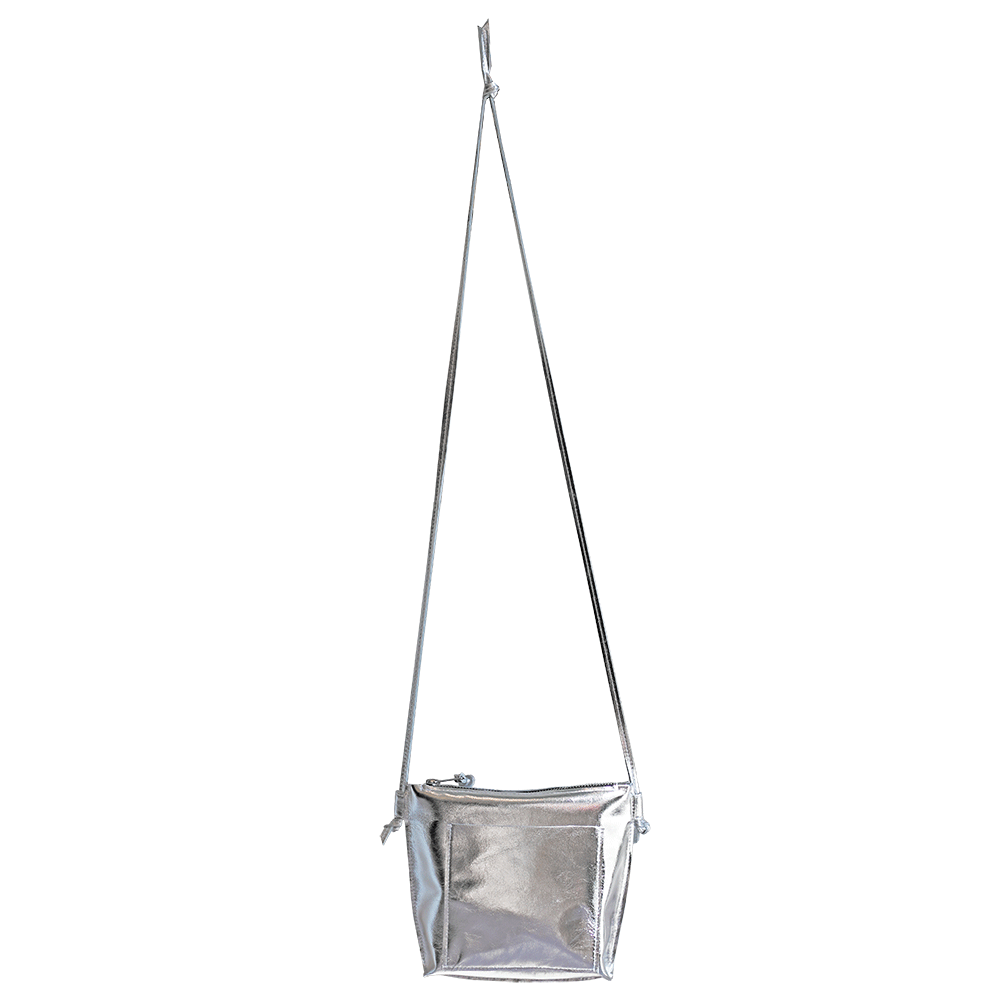 Diana Crossbody Bag in Metallic Silver