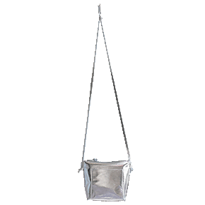 Diana Crossbody Bag in Metallic Silver