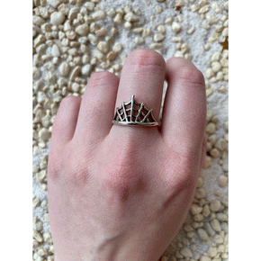 Spider Web Ring