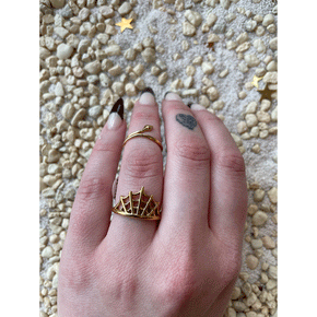 Spider Web Ring