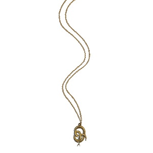 Serpentine Charm Necklace