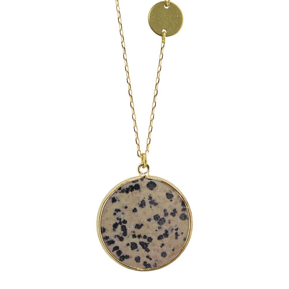 Jasper Dalmatian Coin Necklace